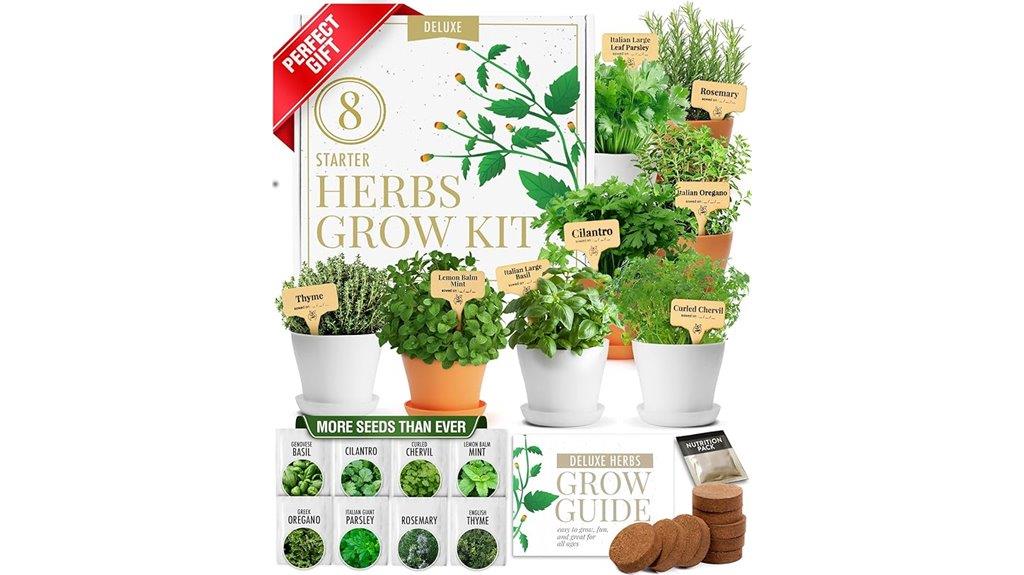 herb garden seed kit