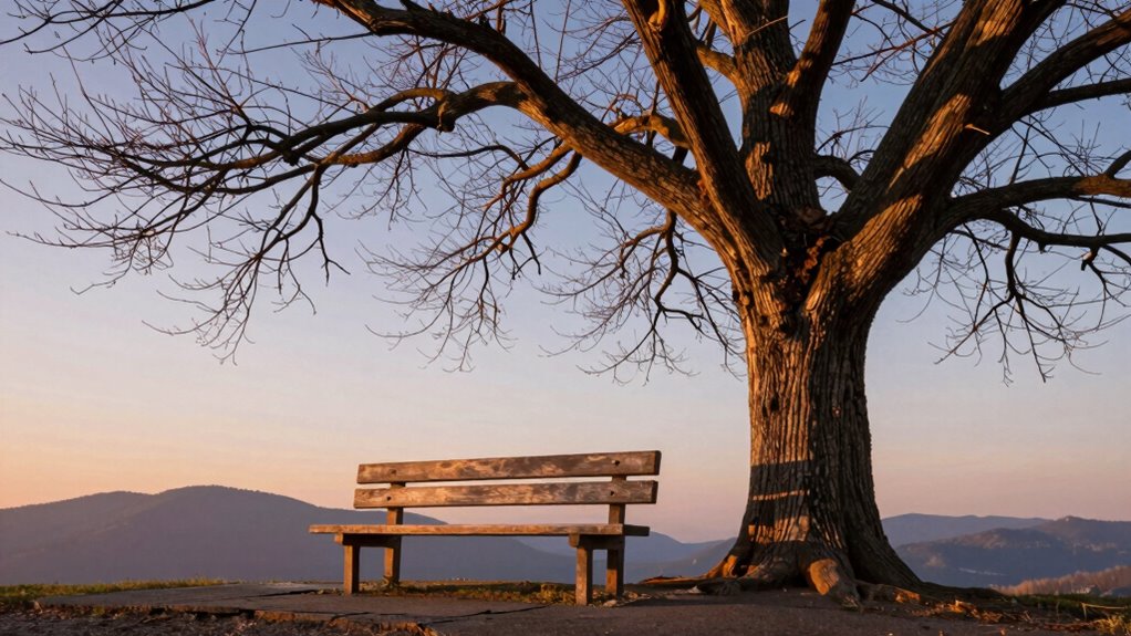 embrace setbacks for growth