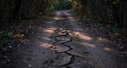 small choices lead to regret