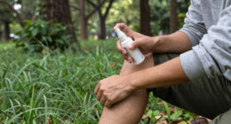 15 Best Tick Repellents in 2026