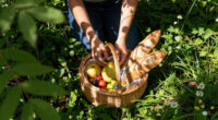 Global Lifestyle Trends 2026: How Affluent Consumers Are Turning Nature, Travel And Wellness Into The New Luxury